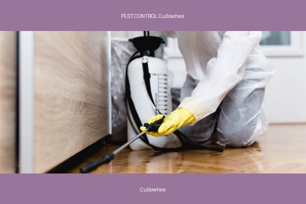 PEST CONTROL Cullowhee